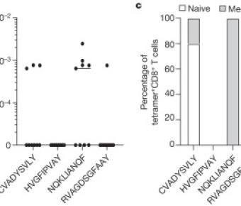 A common allele of HLA is associated with asymptomatic SARS-CoV-2 infection