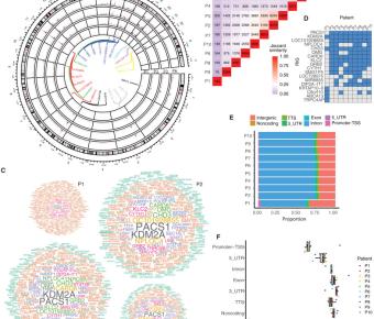 Integrome signatures of lentiviral gene therapy for SCID-X1 patients