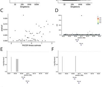  Aberrant activation of TCL1A promotes stem cell expansion in clonal haematopoiesis