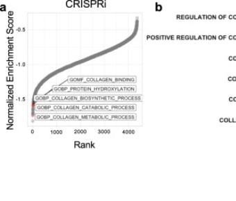 Genome-wide screens identify SEL1L as an intracellular rheostat controlling collagen turnover