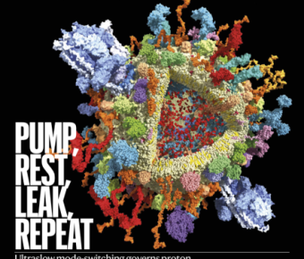 Nature – Pump, rest, leak, repeat magazine cover