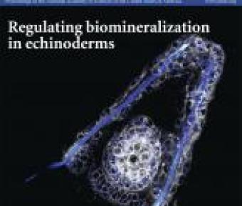 PNAS Cover
