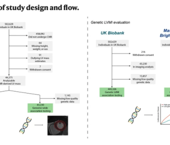 Fig1