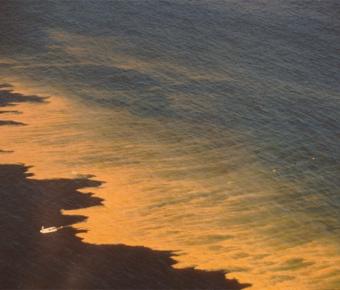 Red Tide