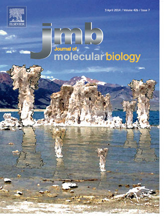 Minor Lab Publication Cover 2014